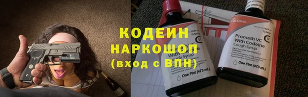 спиды Бикин
