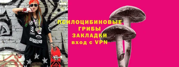 первитин Няндома