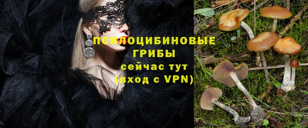 jwh Новозыбков