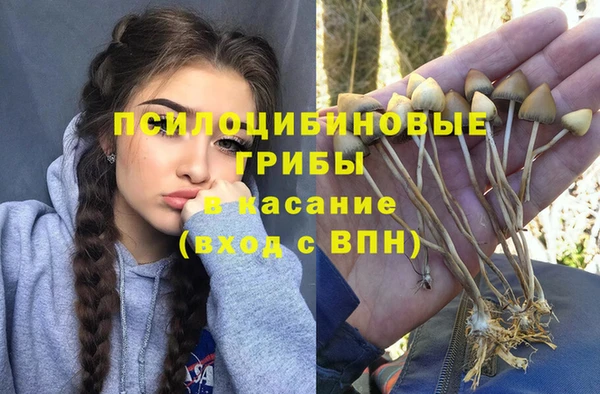 первитин Няндома