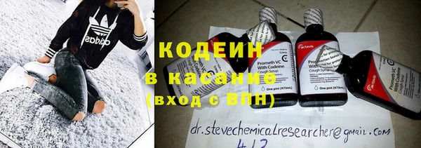 спиды Бикин