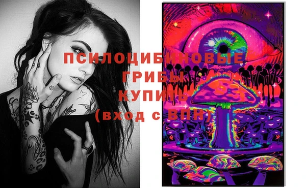 герыч Билибино