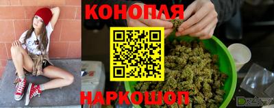 шишки Жуковский