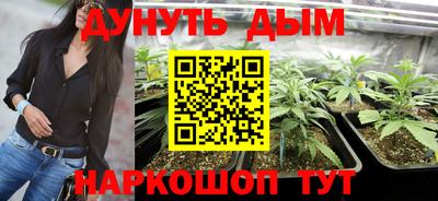 mdpv Заводоуковск