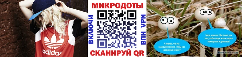 Галлюциногенные грибы Magic Shrooms  купить   Нарткала 